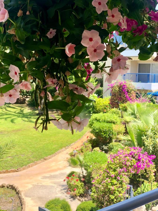 Holiday Apartment Walking Distance To The Sea Paphos Eksteriør billede