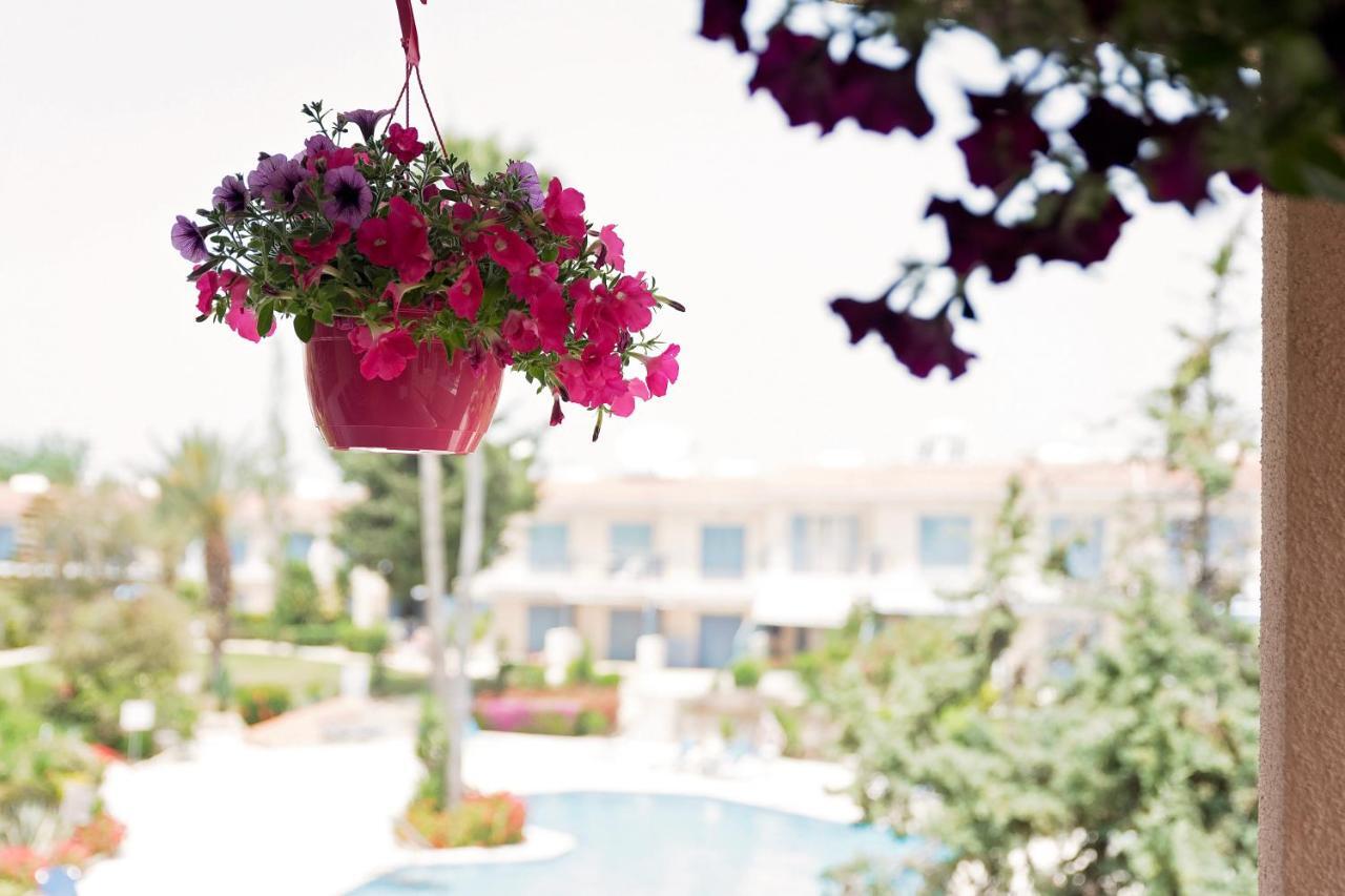 Holiday Apartment Walking Distance To The Sea Paphos Eksteriør billede